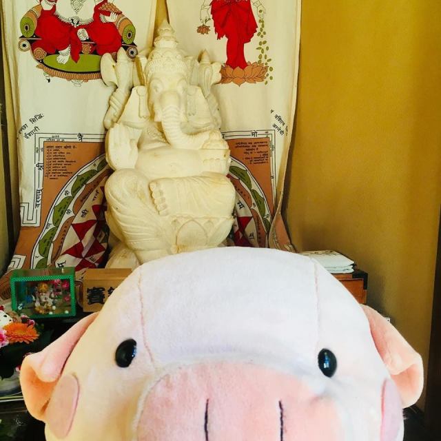 新年